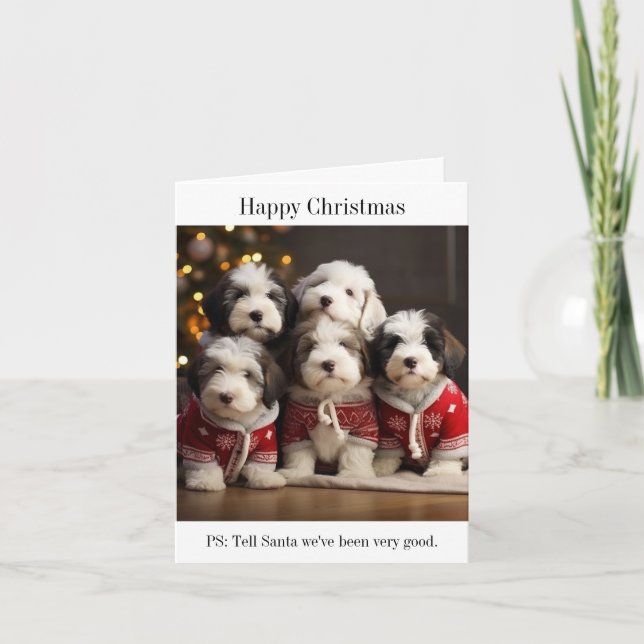 Vieux anglais Sheepdog Puppies Carte de Noël (Devant)