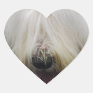 Vieux autocollants anglais mignons de chien de