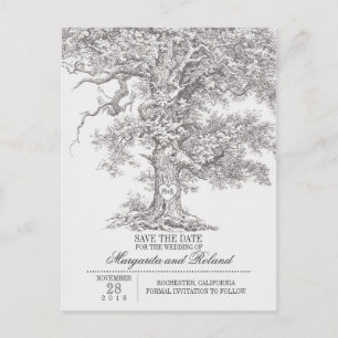 vieux chêne gris enregistrer la date cartes postal