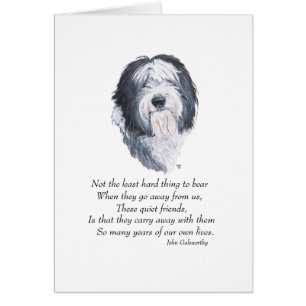 Vieux chien de berger anglais Rainbow Bridge
