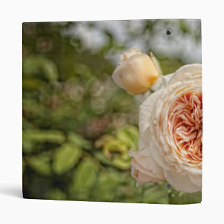 Vieux classeur rose