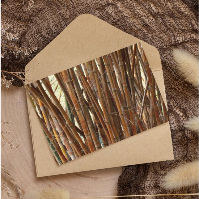 Vieux papier bambou (Créateur téléchargé)