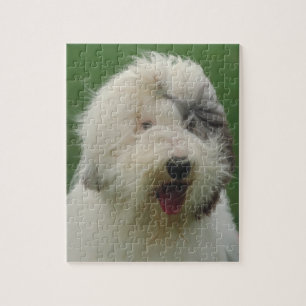 Vieux puzzle anglais de chien de chien de berger