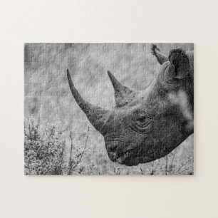 Vieux Rhinoceros - Puzzle Photo HD Noir Et Blanc