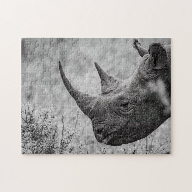 Vieux Rhinoceros - Puzzle Photo HD Noir Et Blanc (Horizontal)