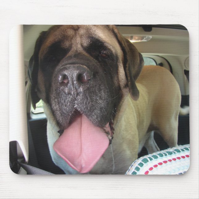 Vieux tapis de souris anglais de mastiff (Devant)