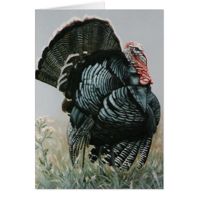 Vieux Tom fier (Devant)