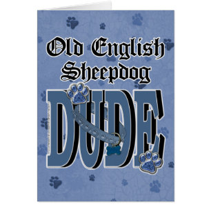 Vieux TYPE anglais de chien de berger