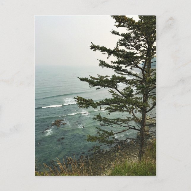 View at Simpson Reef Overlook, Oregon Coast Postcard (Front)