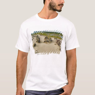 View from a sandy hilltop of lakes and hills on T-Shirt