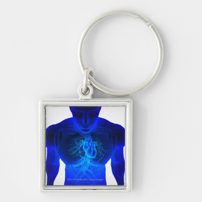 View from above of the layout of blood vessels keychain (Front)