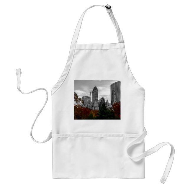 View from Central Park in New York City Standard Apron (Front)