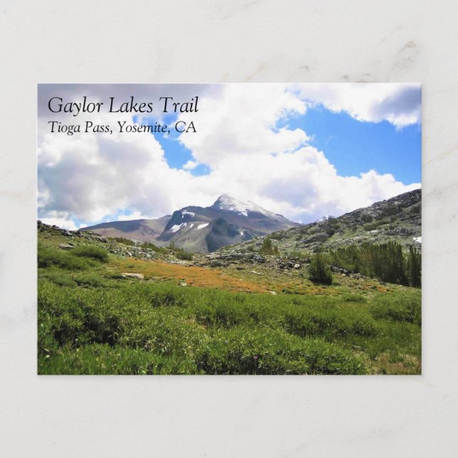 View from Gaylor Lakes Trail, Tioga Pass, CA Postc Postcard (Front)