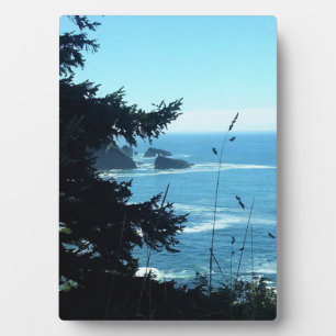 View from Hart's Cove, Oregon Coast Plaque