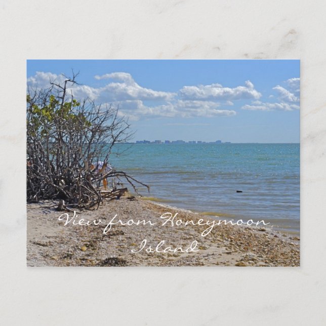 View from Honeymoon Island Postcard (Front)