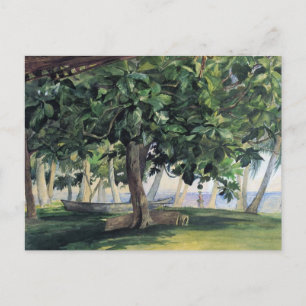 'View From Hut' - John LaFarge Postcard