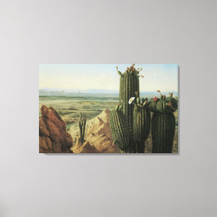 View from Maricopa Mountain Near Rio Gila by Pratt Canvas Print