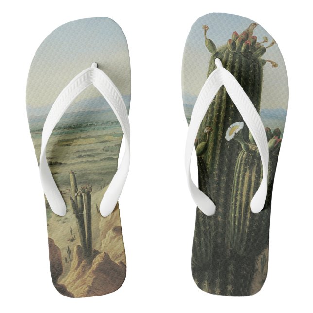View from Maricopa Mountain Near Rio Gila by Pratt Flip Flops (Footbed)