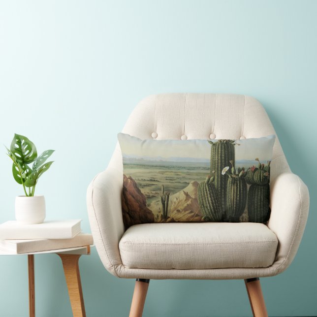 View from Maricopa Mountain Near Rio Gila by Pratt Lumbar Pillow (Chair)