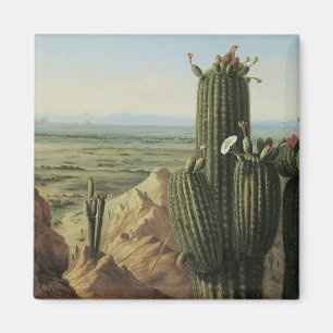 View from Maricopa Mountain Near Rio Gila by Pratt Magnet