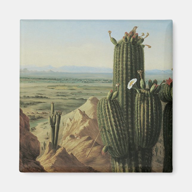View from Maricopa Mountain Near Rio Gila by Pratt Magnet (Front)