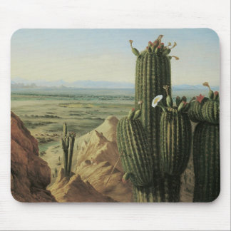 View from Maricopa Mountain Near Rio Gila by Pratt Mouse Pad