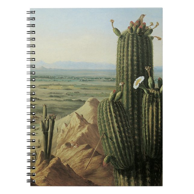 View from Maricopa Mountain Near Rio Gila by Pratt Notebook (Front)