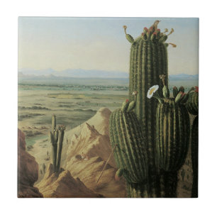 View from Maricopa Mountain Near Rio Gila by Pratt Tile