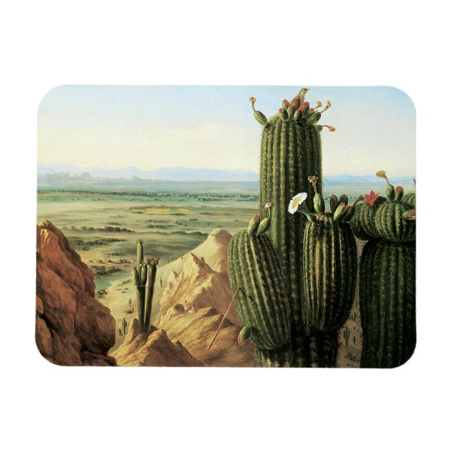 View from Maricopa Mountain Near the River Gila Magnet (Horizontal)