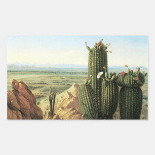 View from Maricopa Mountain near the River Gila Sticker