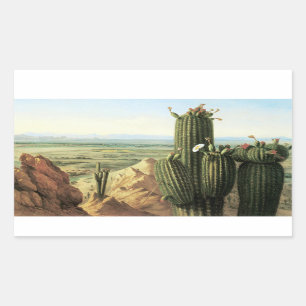 View from Maricopa Mountain Near the River Gila Sticker