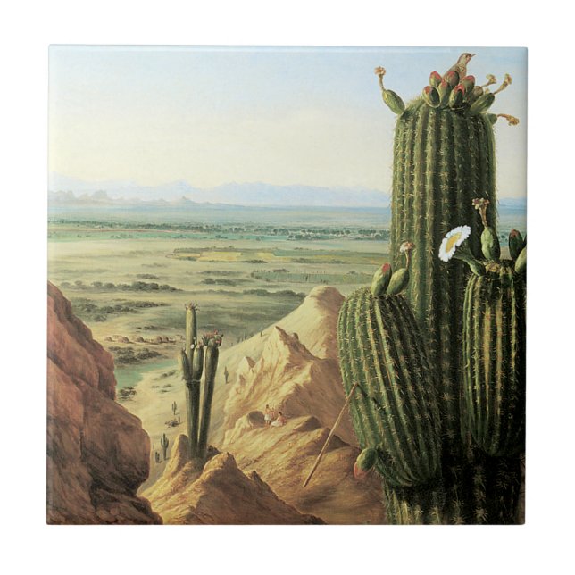 View from Maricopa Mountain near the River Gila Tile (Front)