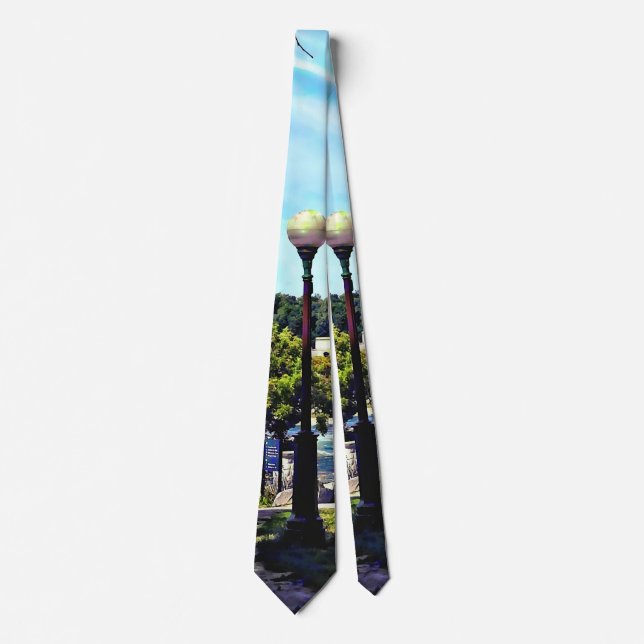View From Niagara Falls State Park Tie (Front)