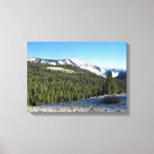 View from Olmstead Point, Yosemite, CA Canvas Print
