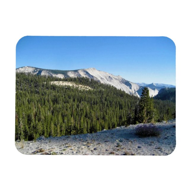 View from Olmstead Point, Yosemite, CA Magnet (Horizontal)