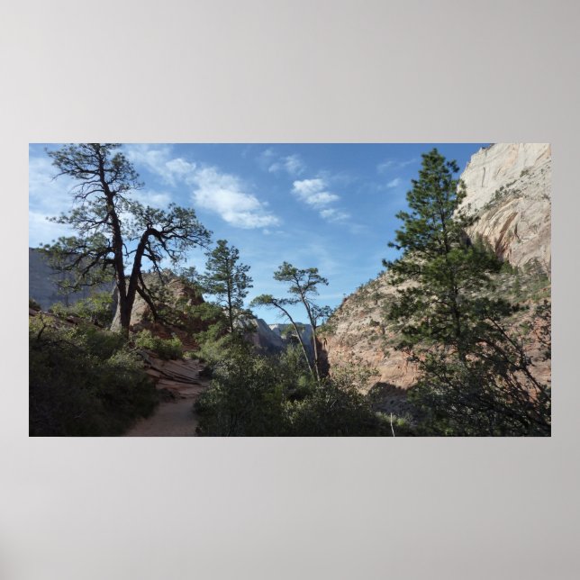 View from Scout Lookout at Zion National Park Poster (Front)