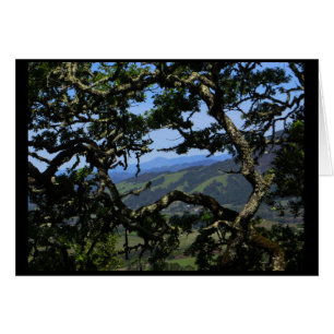 View from Sonoma Mountain