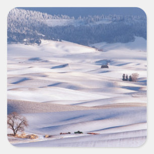 View from Steptoe Butte of rolling hills covered Square Sticker