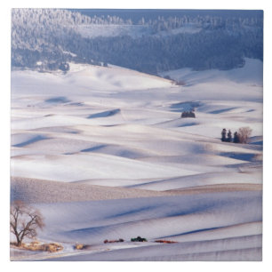 View from Steptoe Butte of rolling hills covered Tile