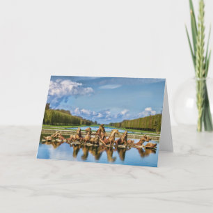 View From Versailles, France, Greeting Card