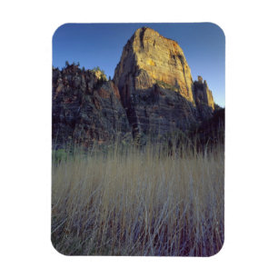 View from Virgin River flood plain, Zion Canyon Magnet