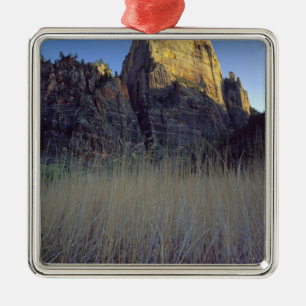 View from Virgin River flood plain, Zion Canyon Metal Ornament
