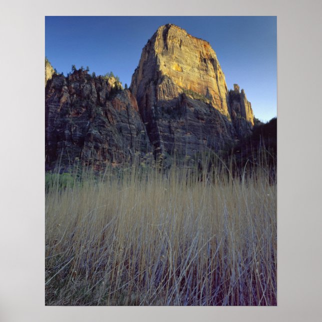 View from Virgin River flood plain, Zion Canyon Poster (Front)
