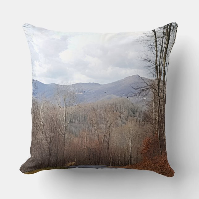 View in the Mountains Throw Pillow (Front)