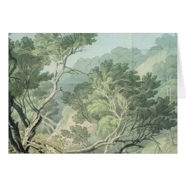 View near Fordlands, Exeter (Front Horizontal)