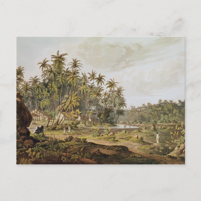 View near Point du Galle, Ceylon Postcard (Front)