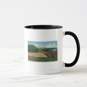 View of a Cranberry Plantation Mug