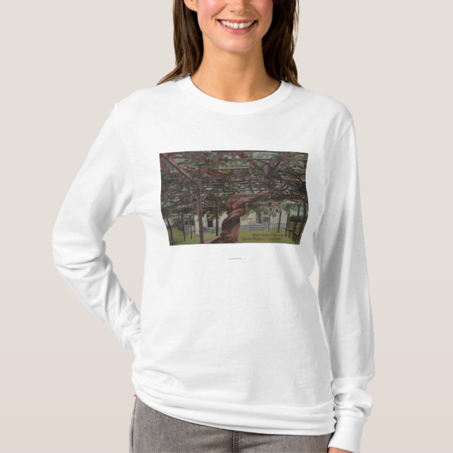 View of a Giant Grape Vine T-Shirt (Front)