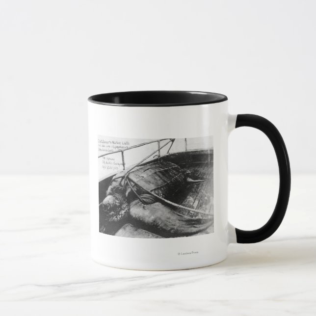 View of a Giant Sea Turtle in Captivity Mug (Right)