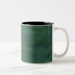 View of a Lion (Panthera leo) laying on the Two-Tone Coffee Mug